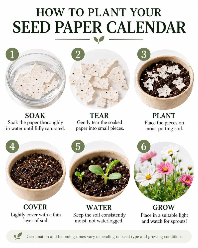 2027-plantable-seed-paper-calendar-with-wooden-stand-personalized-couple-photo-calendar-eco-friendly-desk-calendar